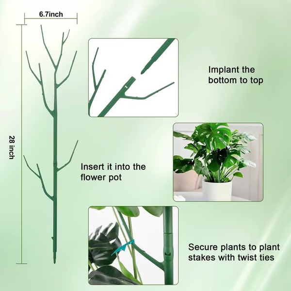 ๐๐๐ฟ 5 Pack Plant Support Stakes