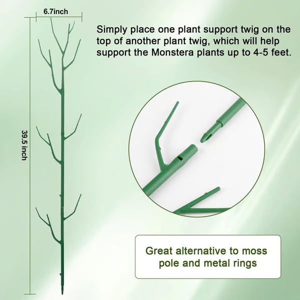 ๐๐๐ฟ 5 Pack Plant Support Stakes
