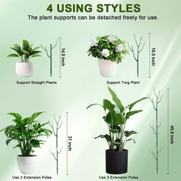 ๐๐๐ฟ 5 Pack Plant Support Stakes