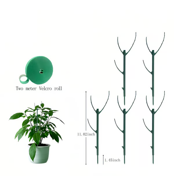 ๐๐๐ฟ 5 Pack Plant Support Stakes