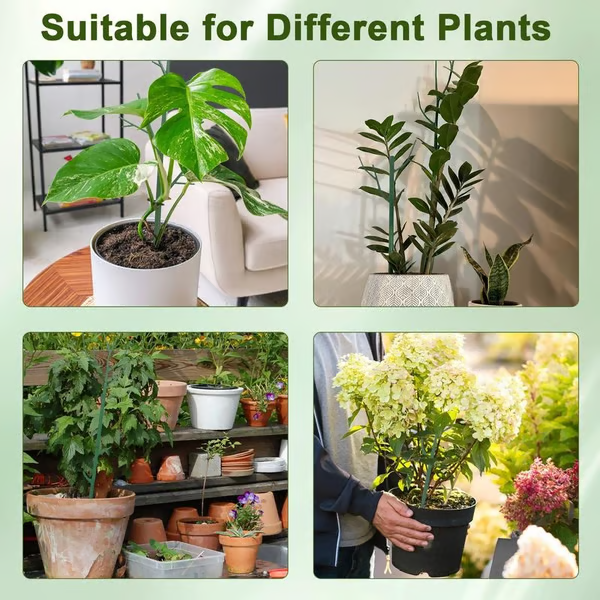 ๐๐๐ฟ 5 Pack Plant Support Stakes
