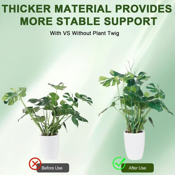 ๐๐๐ฟ 5 Pack Plant Support Stakes