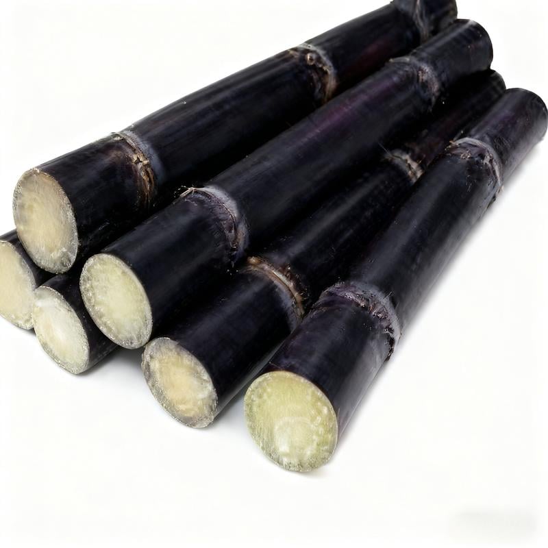 Sugar Cane Seeds